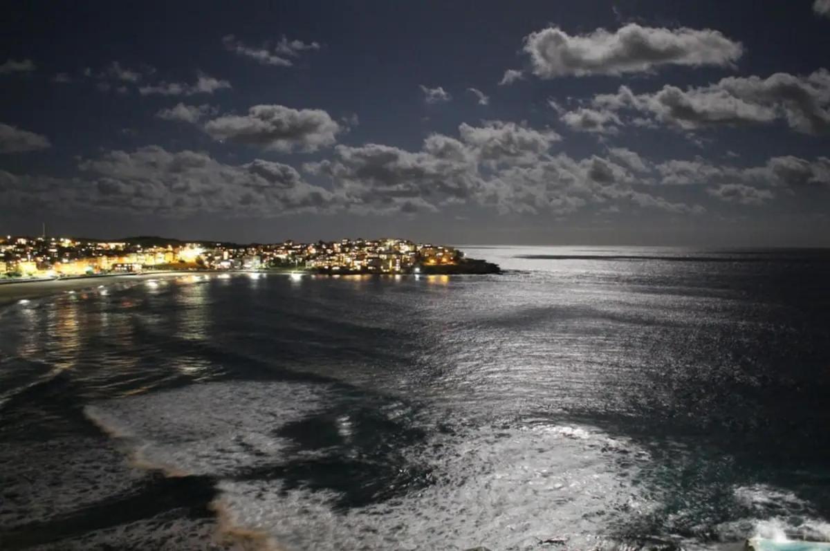 Studio Bondi Beach Sydney Zewnętrze zdjęcie